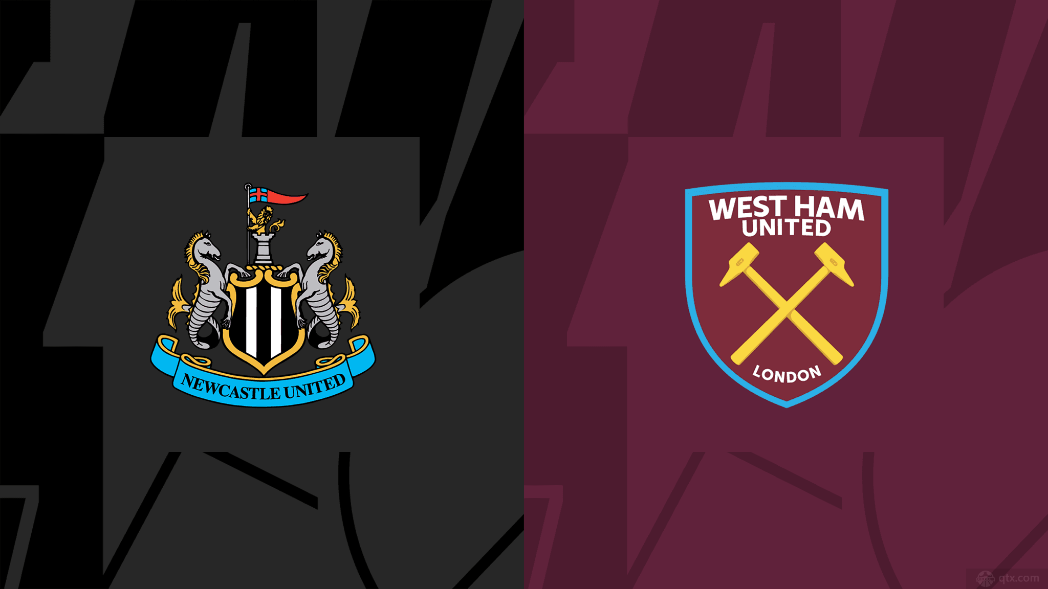 数量尤为突 数量尤为突